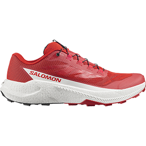 Πολυχρηστικότητα